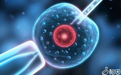 案例